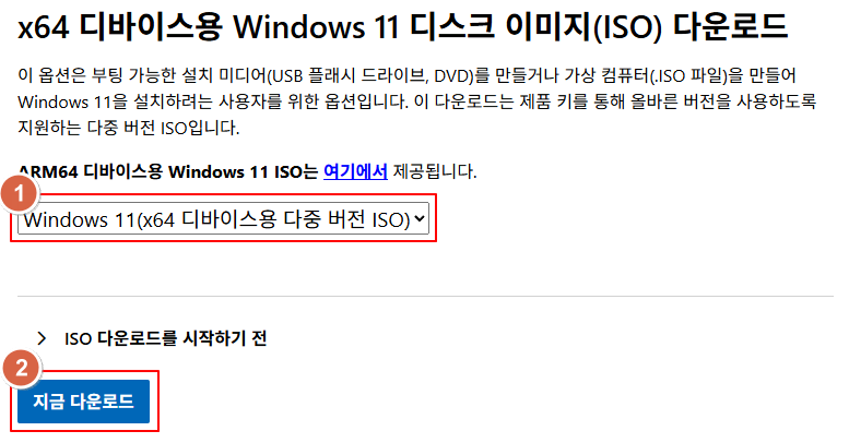 Windows 11 ISO download selection