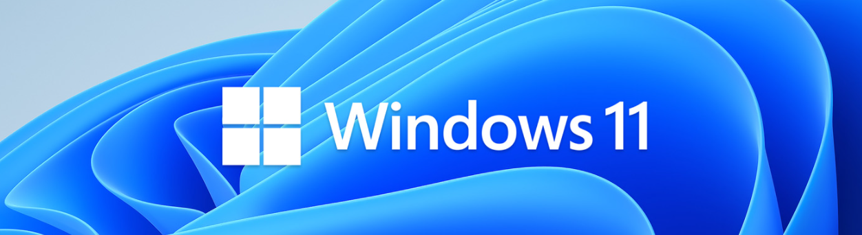 Windows 11 Logo – Clean Installation Tutorial Header Image
