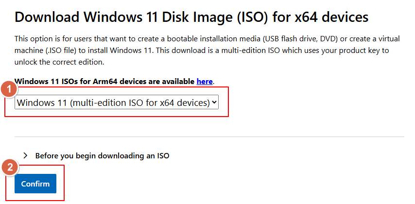 Windows 11 ISO download selection